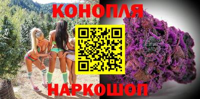 таблы Новозыбков