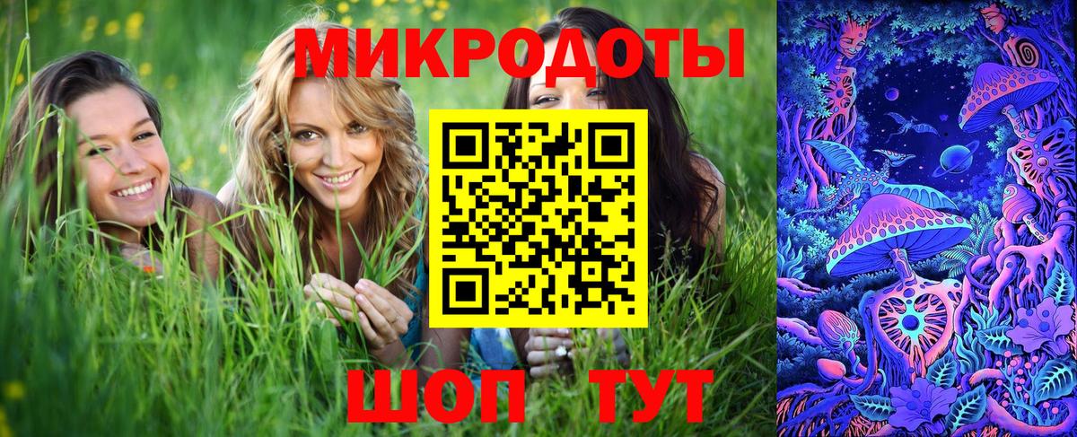 Галлюциногенные грибы мухоморы Сланцы