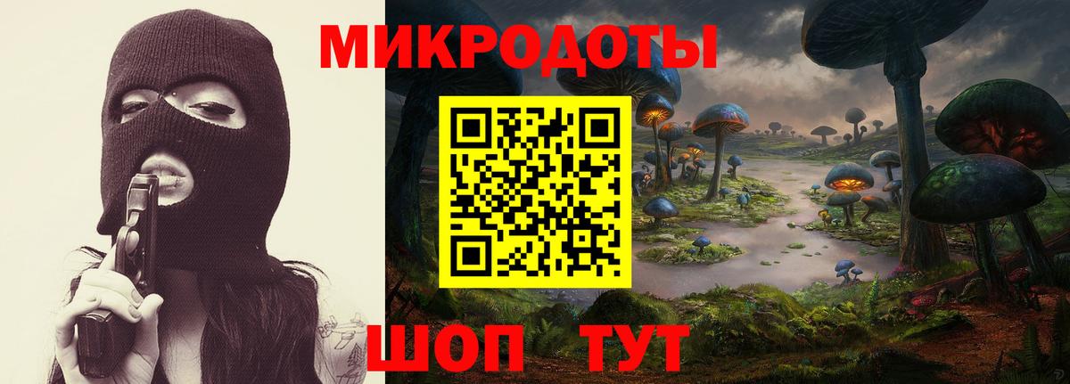 Галлюциногенные грибы Psilocybe  Вход с VPN  Сланцы 