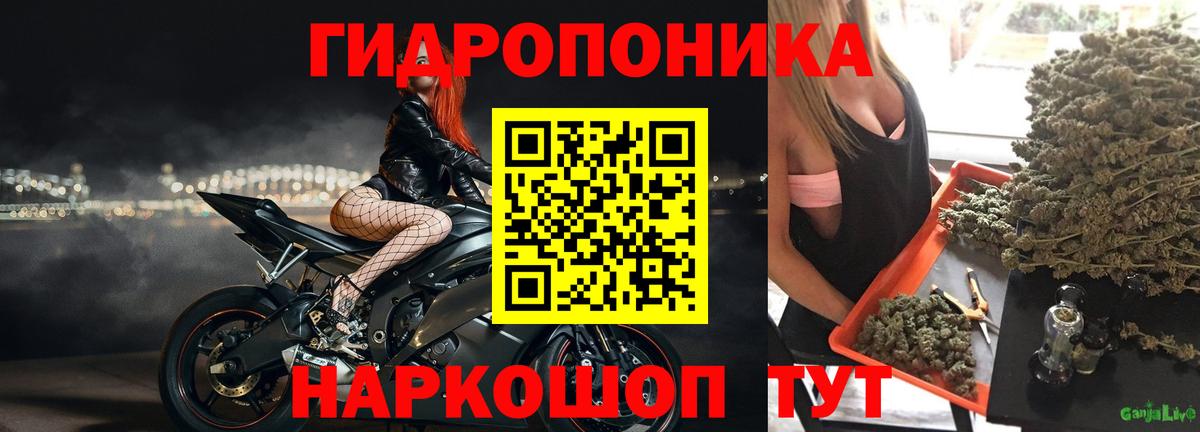 Сланцы  Марихуана семена  Вход с VPN  Каннабис конопля  Марихуана SATIVA & INDICA 